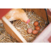 Garden Elements Straw Bale by Shady Creek Farm, Multi-Use for Farm & Home, Large Bale, 36"