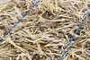 Garden Elements Straw Bale by Shady Creek Farm, Multi-Use for Farm & Home, Large Bale, 36"