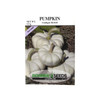 Rohrer Seeds Pumpkin, Gooligan Hybrid, 1.5g, Approx 25 Seeds/Packet
