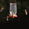 Classic Brands Tulip Hummingbird Nectar Feeder with 4 Feeding Ports, 22oz Capacity