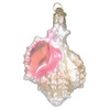 Old World Christmas Glass Blown Ornament, Mexican Seashell (With OWC Gift Box)
