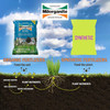 Milorganite All-Purpose Eco-Friendly Slow-Release Nitrogen 6-4-0 Fertilizer, 32 Pound Bag - for Lawns, Flowers, and Gardens