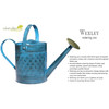 Robert Allen H and G Metal IronLite Wexley Watering Can, Mountain Waves, 2 Gal