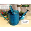 Robert Allen H and G Metal IronLite Wexley Watering Can, Mountain Waves, 2 Gal