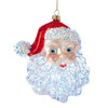 Kurt Adler Glass Ornament for Christmas Tree, Santa Head