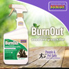 Bonide Burn Out Weed and Grass Killer, 32 oz