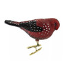 Old World Christmas Glass Blown Clip On Christmas Ornament, Strawberry Finch (With OWC Gift Box)