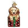 Old World Christmas Blown Glass Ornament for Christmas Tree, Golden Puppy Surprise