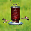 Perky-Pet Glass Red Mason Jar Hummingbird Feeder, 32oz Nectar Capacity