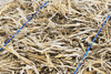 Garden Elements Straw Bale by Shady Creek Farm, Multi-Use for Farm & Home, 22"