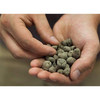 Geolite Clay Pebbles Growing Media, Grey, 45 Liter Bag