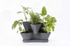 Bloem Collins Modular 2-Tier Multi-Level Vertical Herb Planter, Charcoal