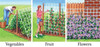 Gardeneer by Dalen Trellis Netting for Verticle Gardening- 5ft x 30ft