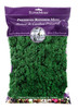 SuperMoss Preserved Reindeer Moss, Forest, 8oz bag (200 cubic inch)