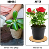 CWP Surface Protector Plant Mat Saucers, Assorted Colors, 12", Pack of 3