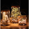 Krinner Lumix Solar-Powered Home Decoration Glass LED Display Jar, 6in