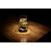 Krinner Lumix Solar-Powered Home Decoration Glass LED Display Jar, 13.5in