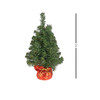 National Tree Noble Spruce Tree with LED Lights, Assorted, 2' (Pack of 3)