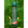 Brome Squirrel Buster Classic Tube Bird Feeder, Green