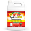 Natures MACE Squirrel Repellent Concentrate, 1 gallon - Treats 87,000 Sq. Ft