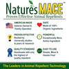 Natures MACE Squirrel Repellent Concentrate, 1 gallon - Treats 87,000 Sq. Ft
