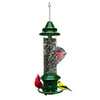 Brome Squirrel Buster Plus Wild Bird Feeder with Cardinal Perch Ring, 5lb Seed Capacity