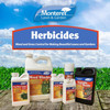 Monterey Grass Getter, Post Emergence Herbicide for Grass Weeds, 8 oz