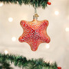 Old World Christmas Blown Glass Ornament for Christmas Tree, Red Starfish