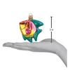 Old World Christmas Hanging Glass Tree Ornament, Pink/Yellow Tropical Angelfish (With OWC Gift Box)