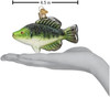 Old World Christmas Glass Blown Christmas Ornament, Crappie Fish (With OWC Gift Box)