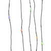 Kurt Adler B/O 100 Light Dual Color LED Light String, Warm White & Multicolor