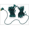 Sienna Indoor/Outdoor 100 M5 LED Mini Bulb String Lights, Warm White on Green Wire
