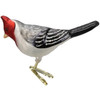 Old World Christmas Glass Blown Ornament for Christmas Tree, Red Crested Cardinal