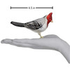 Old World Christmas Glass Blown Ornament for Christmas Tree, Red Crested Cardinal