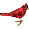 Old World Christmas Blown Glass Ornament for Christmas Tree, Red Northern Cardinal