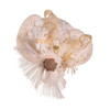 Kurt Adler Fiber-Optic Gold and White Angel Treetop, 16"