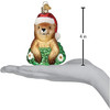 Old World Christmas Glass Blown Ornament for Christmas Tree, Santa Groundhog