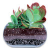 Lambert Horticultural Wood Charcoal Growing Media, Gray, 4 Dry Quarts