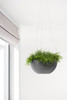 Ecopots Plastic Modern Indoor/Outdoor Round Hanging Brussels Flower Pot Planter