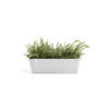 Ecopots Bruges Indoor/Outdoor Modern Plastic Rectangular Flower Planter
