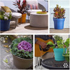 Bloem Saturn Plastic In/Outdoor Flower Pot Planter with Saucers