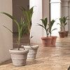 Crescent Garden Brunello Classic Rolled-Rim Plant Pot