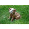 Michael Carr Designs Resin Figurine for Garden, Patio and Lawns, Bully-Bulldog Puppy Statue, Medium