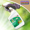 Bonide Captain Jack LawnWeed Brew for Weed Control, RTU Trigger Spray, 32 oz
