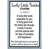 GANZ Metal Lucky Little Turtle Pocket Charm with Story Card – Inspirational Mini Keepsake Gift GANZ Metal Lucky Little Turtle Pocket Charm with Story Card – Inspirational Mini Keepsake Gift