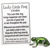 GANZ Glass Lucky Little Frog Pocket Charm with Story Card – Inspirational Mini Keepsake