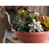 The HC Companies Garden Bowl with Removable Drain Plugs, Clay Color, 14in