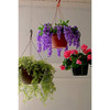 The HC Companies Euro Swirl Hanging Basket, Clay Color, 10"