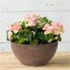 Novelty Indoor/Outdoor Artstone Napa Bowl Planter with Water-Minder System