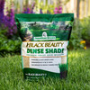 Jonathan Green Black Beauty Dense Shade Premium Grass Seed Mix